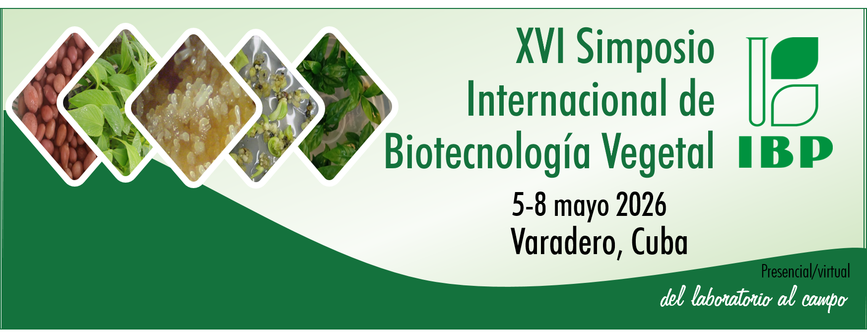 XVI Simposio BV BnH2 portada es
